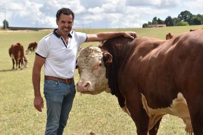 Johan Christiaens met een Hereford-rund