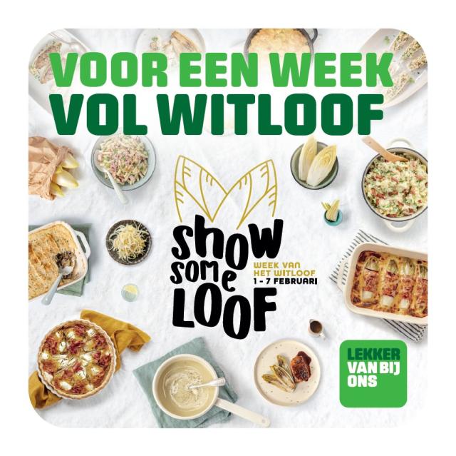 Cover receptenboekje Week van het witloof