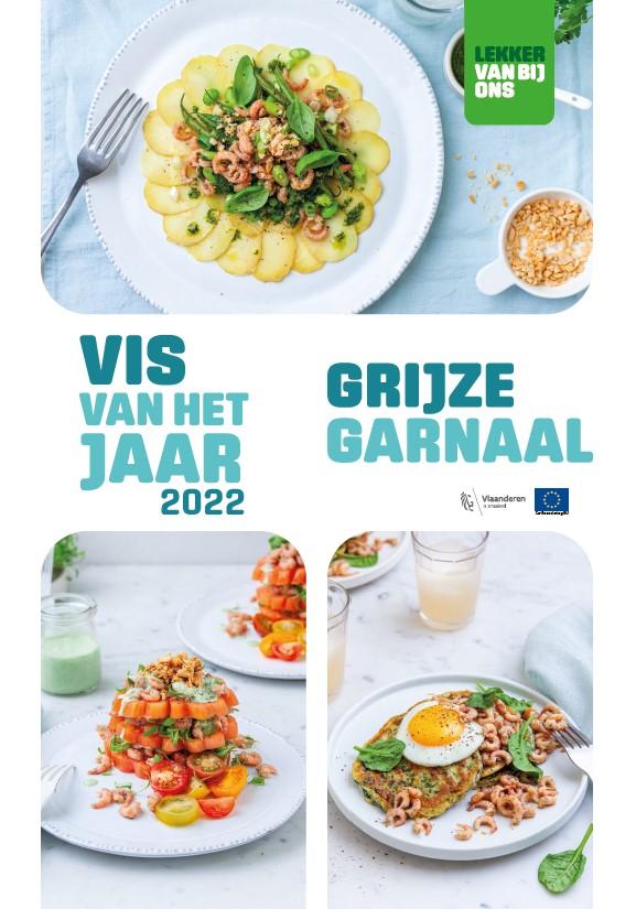 affiche vis van het jaar N 2022