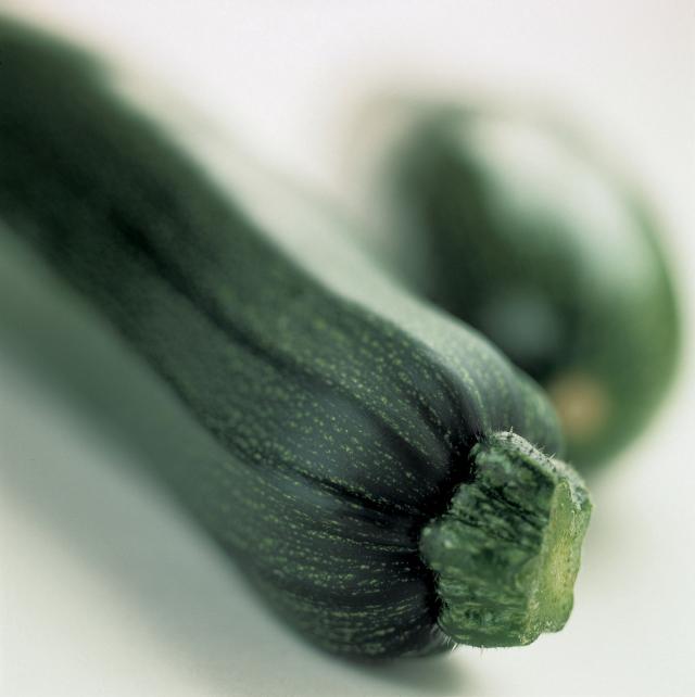 Groene courgette