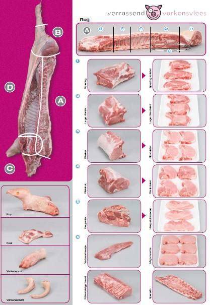 versnijdingsleaflet varken