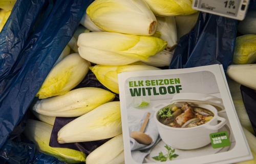 Witloof in de supermarkt