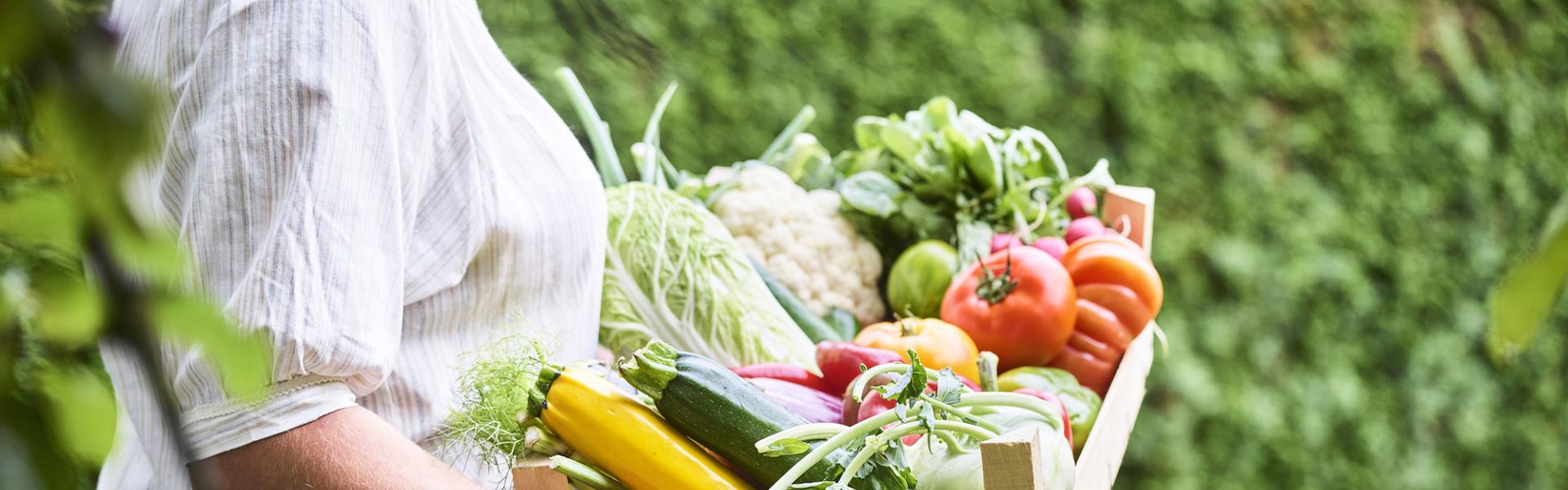Bioproducten Bioproducten
