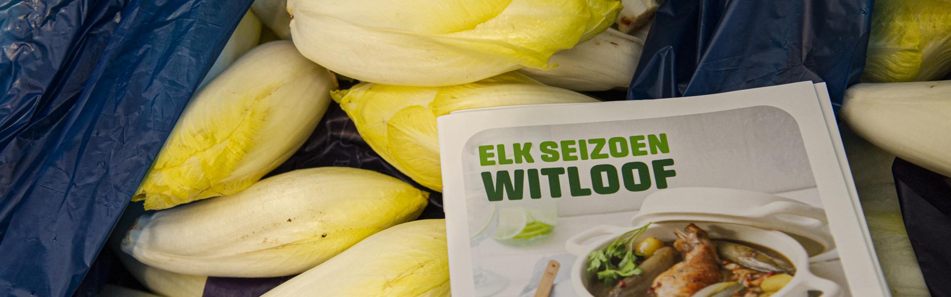 Witloof in de supermarkt